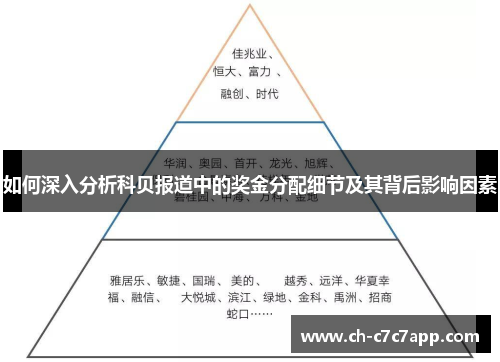如何深入分析科贝报道中的奖金分配细节及其背后影响因素