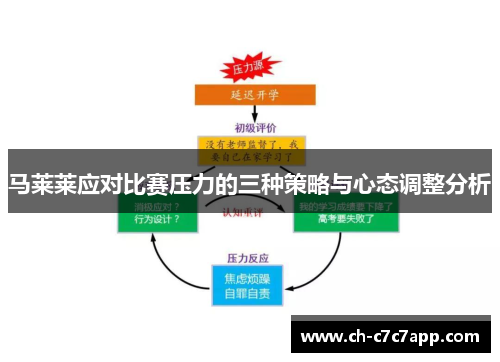 马莱莱应对比赛压力的三种策略与心态调整分析 马莱莱应对比赛压力的三种策略与心态调整分析
