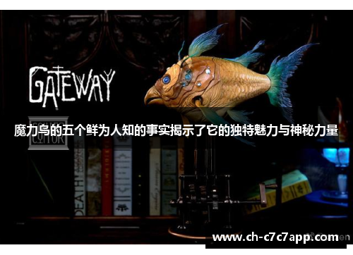 魔力鸟的五个鲜为人知的事实揭示了它的独特魅力与神秘力量 魔力鸟的五个鲜为人知的事实揭示了它的独特魅力与神秘力量