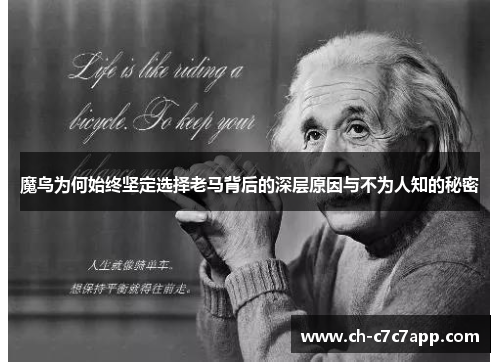 魔鸟为何始终坚定选择老马背后的深层原因与不为人知的秘密